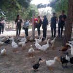 Sevgi en kutsal bağdır