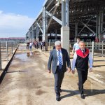 Hayvan Pazarında ilgili kurum ve STK’lara yer tahsis edildi