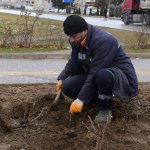 Çorum, bahara rengârenk çiçeklerle uyanacak