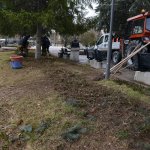 Çorum, bahara rengârenk çiçeklerle uyanacak