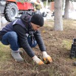 Çorum, bahara rengârenk çiçeklerle uyanacak