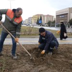 Çorum, bahara rengârenk çiçeklerle uyanacak
