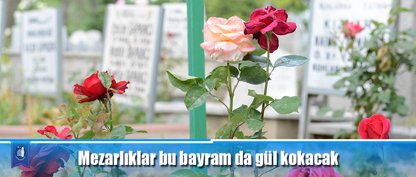 Mezarlıklar bu bayram da gül kokacak