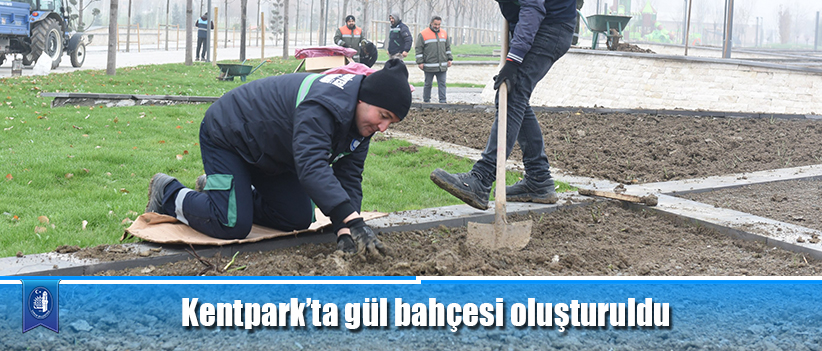 Kentpark’ta gül bahçesi oluşturuldu