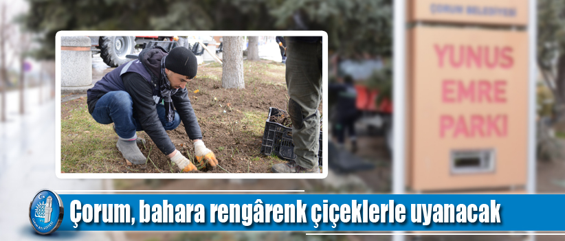 Çorum, bahara rengârenk çiçeklerle uyanacak