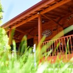 Belediyemizden iki açılış birden