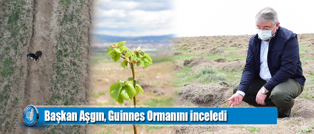 Başkan Aşgın, Guinness Ormanını inceledi