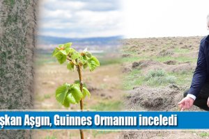 Başkan Aşgın, Guinness Ormanını inceledi