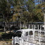 Hayvanların keyfi yerinde