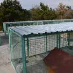 Hayvanların keyfi yerinde