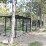 Hayvanların keyfi yerinde