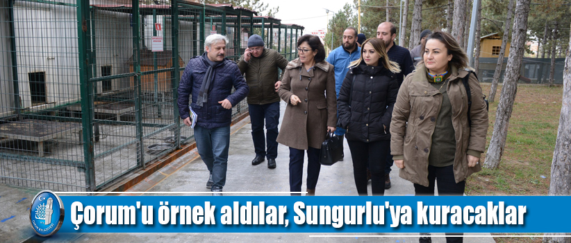 Çorum'u örnek aldılar, Sungurlu'ya kuracaklar