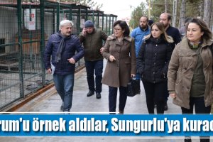 Çorum'u örnek aldılar, Sungurlu'ya kuracaklar