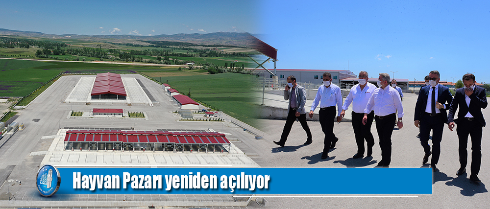 Hayvan Pazarı yeniden açılıyor