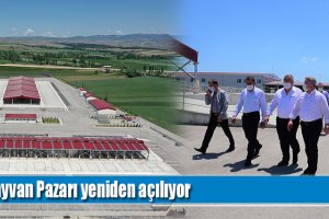 Hayvan Pazarı yeniden açılıyor