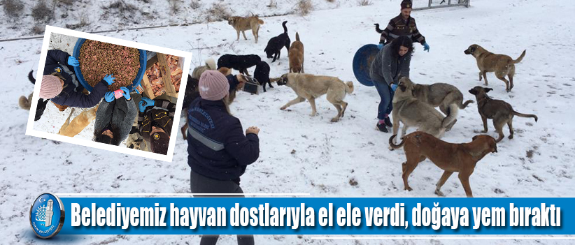 Belediyemiz hayvan dostlarıyla el ele verdi, doğaya yem bıraktı