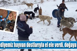 Belediyemiz hayvan dostlarıyla el ele verdi, doğaya yem bıraktı