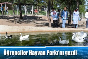 Öğrenciler Hayvan Parkı’nı gezdi