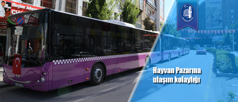 Hayvan Pazarına ulaşım kolaylığı