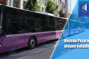 Hayvan Pazarına ulaşım kolaylığı