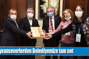 Hayvanseverlerden Belediyemize tam not