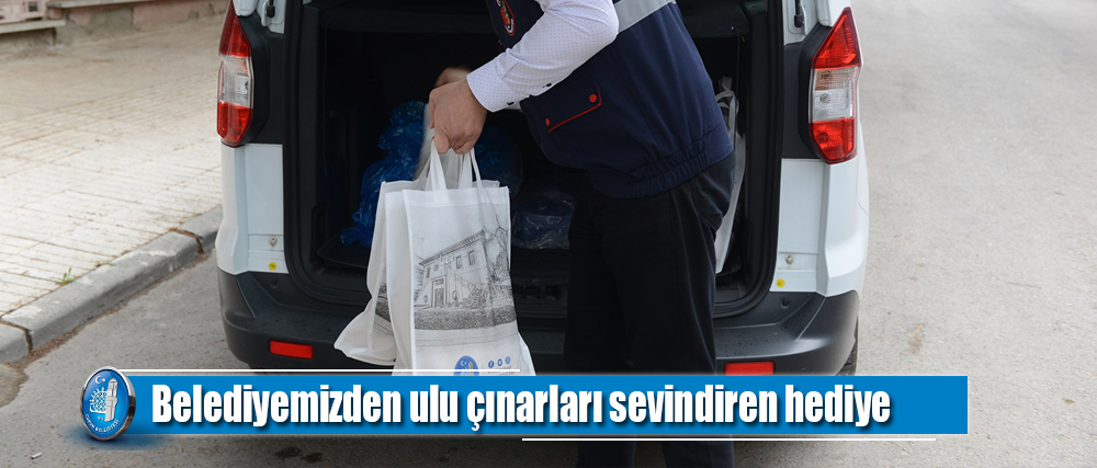 Belediyemizden ulu çınarları sevindiren hediye