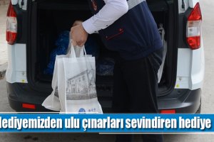 Belediyemizden ulu çınarları sevindiren hediye