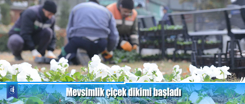 Mevsimlik çiçek dikimi başladı