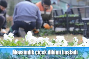 Mevsimlik çiçek dikimi başladı