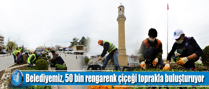 Belediyemiz, 50 bin rengarenk çiçeği toprakla buluşturuyor