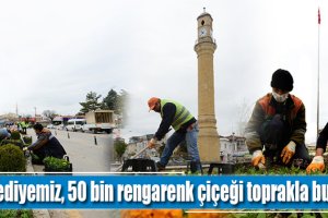 Belediyemiz, 50 bin rengarenk çiçeği toprakla buluşturuyor