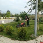 Çim biçme çalışmaları aralıksız devam ediyor