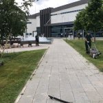 Çim biçme çalışmaları aralıksız devam ediyor