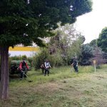 Çim biçme çalışmaları aralıksız devam ediyor