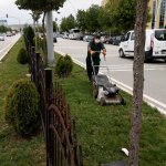 Çim biçme çalışmaları aralıksız devam ediyor