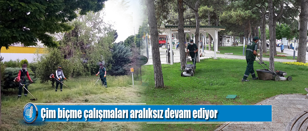 Çim biçme çalışmaları aralıksız devam ediyor