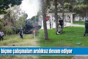 Çim biçme çalışmaları aralıksız devam ediyor