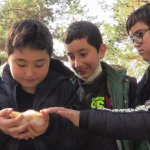 Öğrenciler Hayvan Dostlarıyla Buluştu