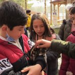 Öğrenciler Hayvan Dostlarıyla Buluştu