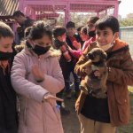 Öğrenciler Hayvan Dostlarıyla Buluştu