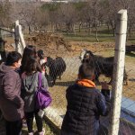 Öğrenciler Hayvan Dostlarıyla Buluştu