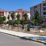 Belediyemiz, Fevziçakmak 3. Caddeye 108 ağaç dikti