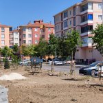 Belediyemiz, Fevziçakmak 3. Caddeye 108 ağaç dikti