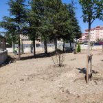 Belediyemiz, Fevziçakmak 3. Caddeye 108 ağaç dikti