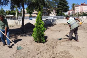 Belediyemiz, Fevziçakmak 3. Caddeye 108 ağaç dikti