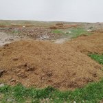 111 Üreme alanı tespit edildi