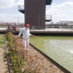 111 Üreme alanı tespit edildi