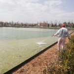 111 Üreme alanı tespit edildi