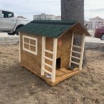 Belediye veteriner işleri 7/24 365 gün hizmet veriyor