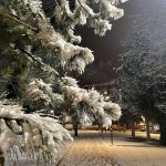 Belediyemiz ekipleri kar yağışına karşı sahadaydı